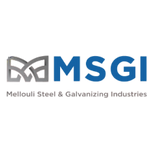 Logo de l'entreprise MSGI